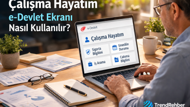 e-Devlet Çalışma Hayatım ekranı ne işe yarar? Sigorta, emeklilik ve çalışma bilgilerini tek panelde görme rehberi burada.