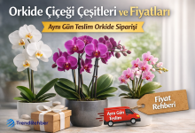 Orkide çiçeği çeşitleri ve fiyatlarını anlatan kapak görselinde beyaz, mor ve pembe orkide saksıları ile aynı gün teslim orkide siparişi vurgusu ve TrendRehber logosu yer alıyor.