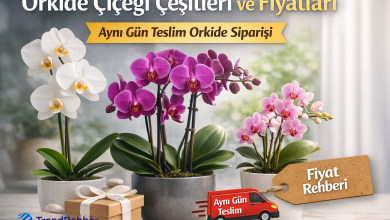 Orkide çiçeği çeşitleri ve fiyatlarını anlatan kapak görselinde beyaz, mor ve pembe orkide saksıları ile aynı gün teslim orkide siparişi vurgusu ve TrendRehber logosu yer alıyor.