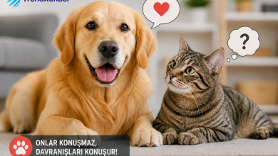 Kedi ve köpek davranışlarının anlamını anlatan, ev ortamında yan yana duran kedi ve köpeğin beden diliyle iletişimini gösteren TrendRehber rehber görseli.
